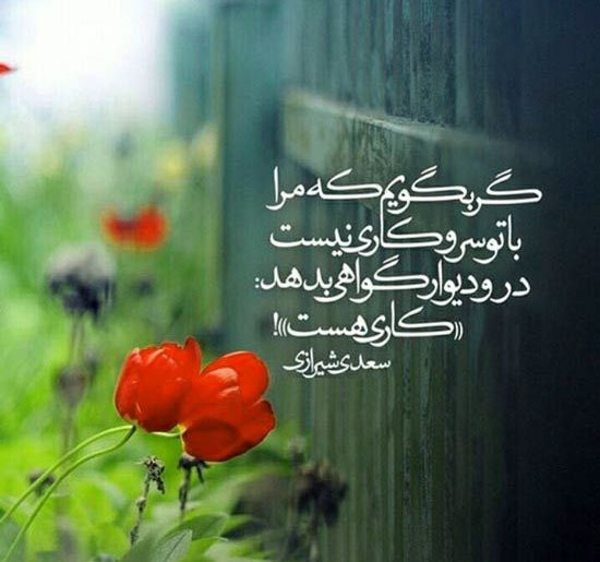 d529d37ea4ac1c23c16959bb49ce475e.jpg