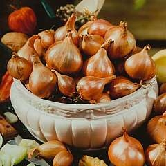 shallot.jpg