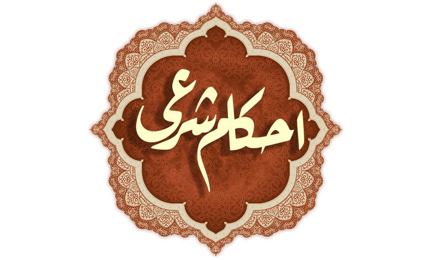 9531962_898.png