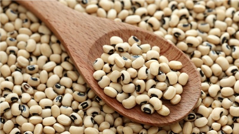خواص-لوبیا-چشم-بلبلی-۱۴-فایده-شگفتانگیز-لوبیا-چشم-بلبلی-برای-سلامتی،-پوست-و-مو.jpg