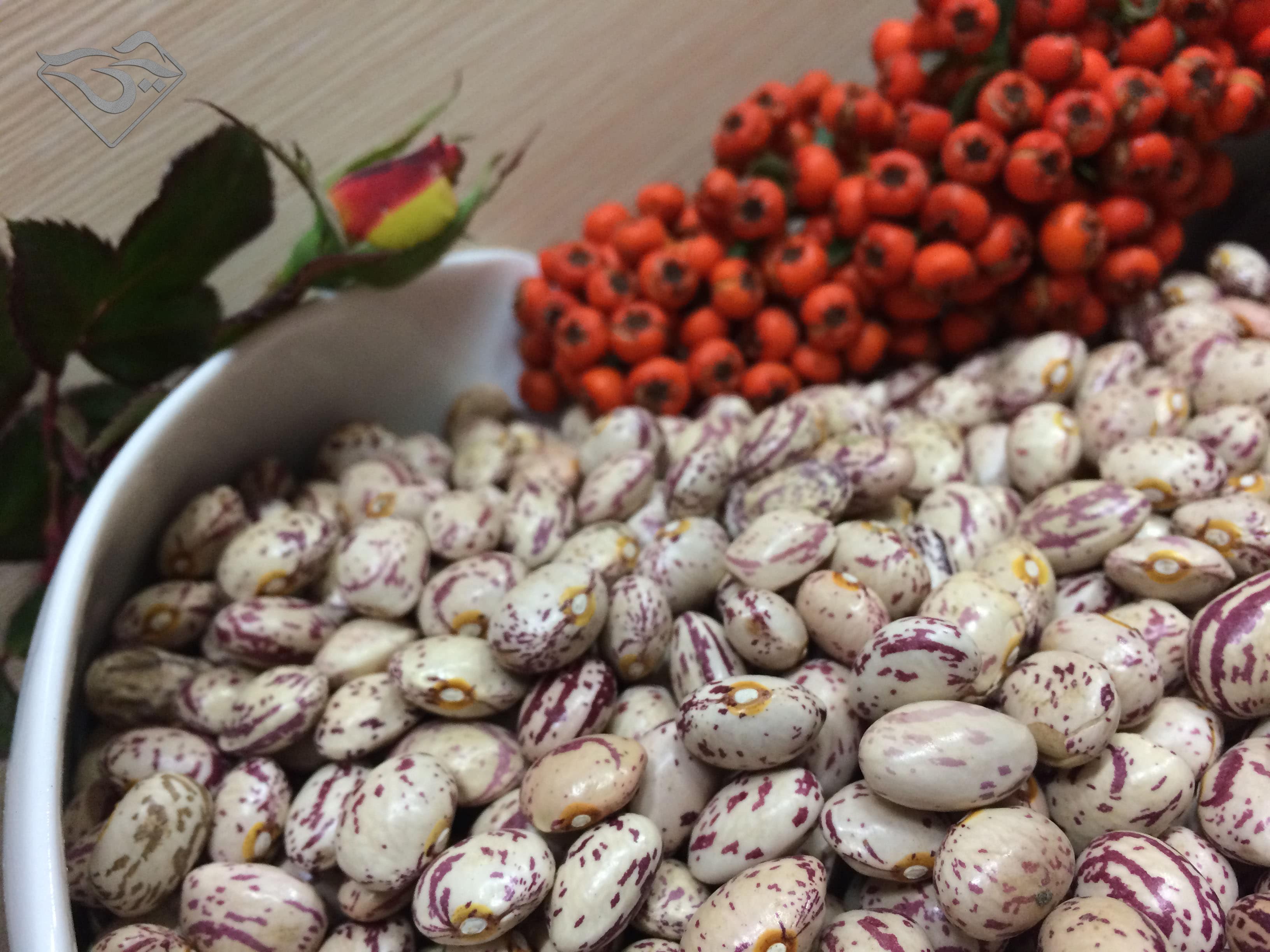 legume-55.jpg