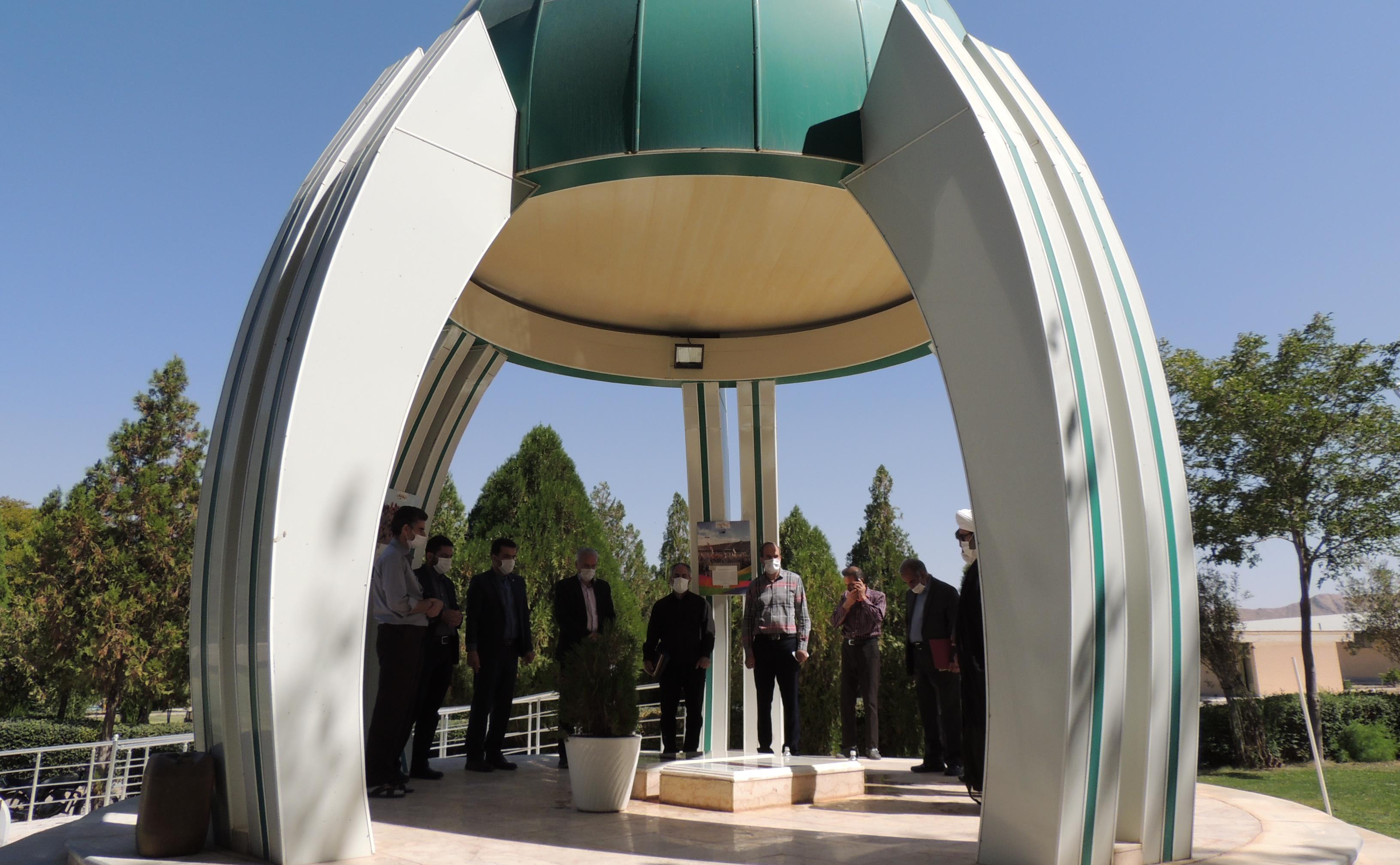 DSCN9572.JPG