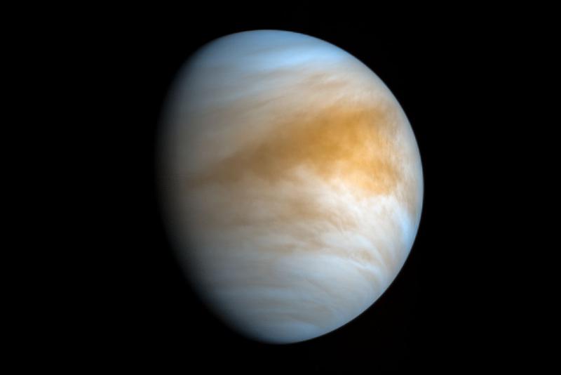 venus.jpg