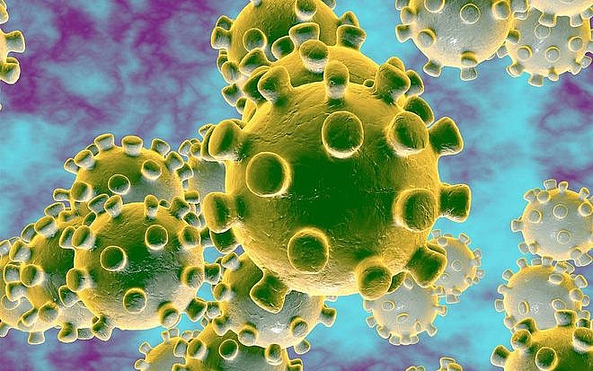 virus-corona.jpg