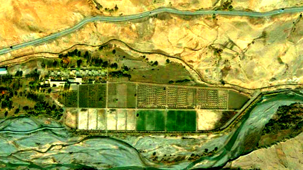 12813581_436.jpg