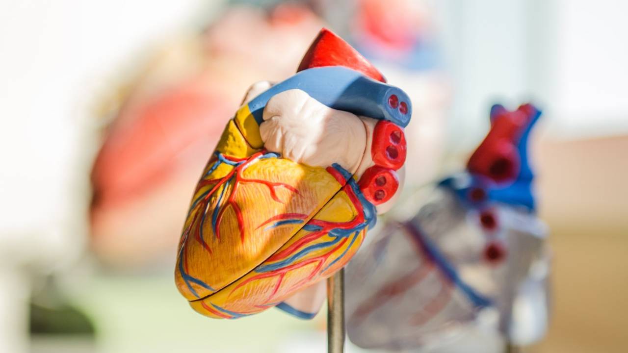 heart_prop_main_uns-1280x720.jpg