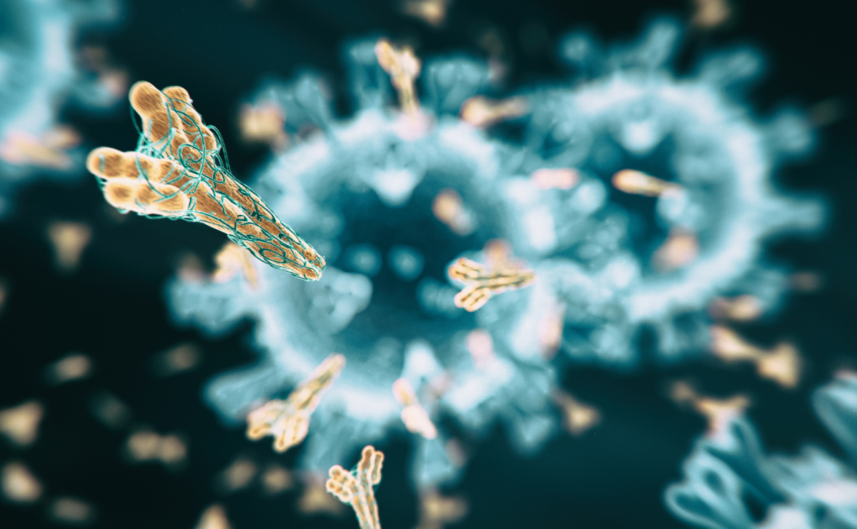 antibody-thumb-l.png