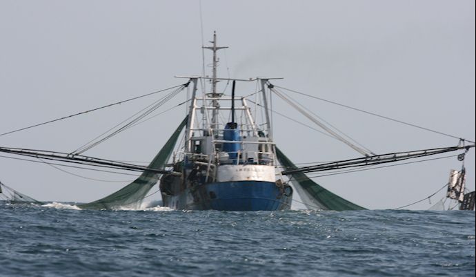0748trawling.jpg