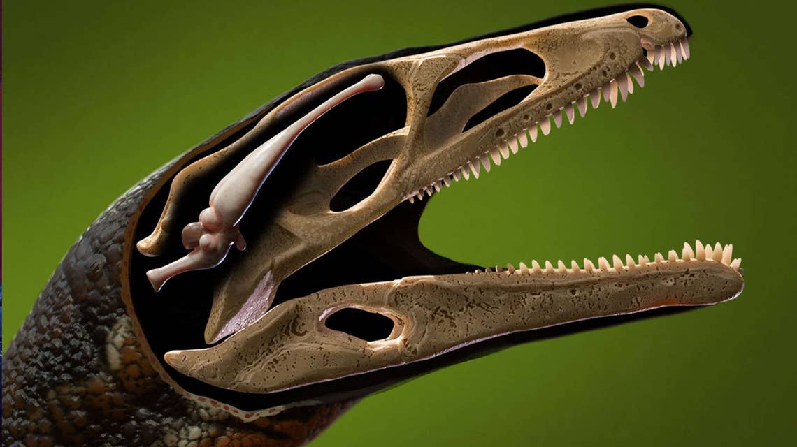 dinobrain1.jpg