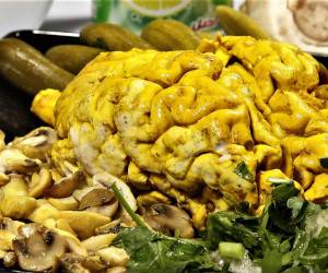 خوراک-مغز.jpg