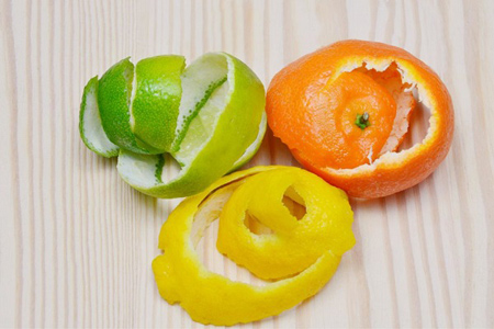 disposable2-properties2-fruits1.jpg