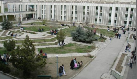 mandegar-383.jpg