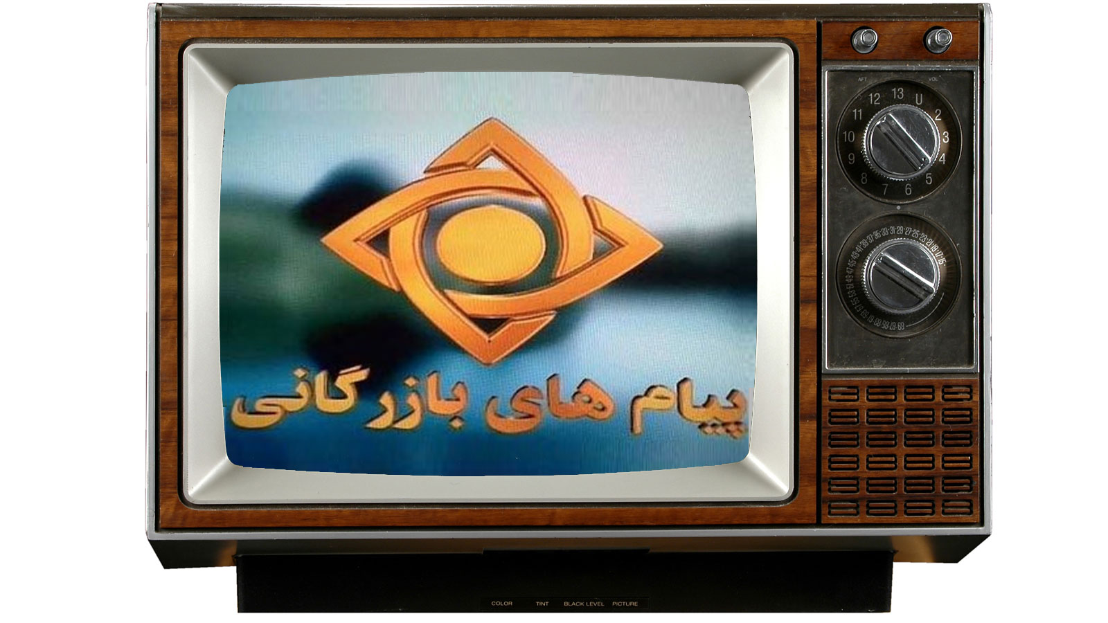 advantagas-disadvantages-advertising-on-tv.jpg