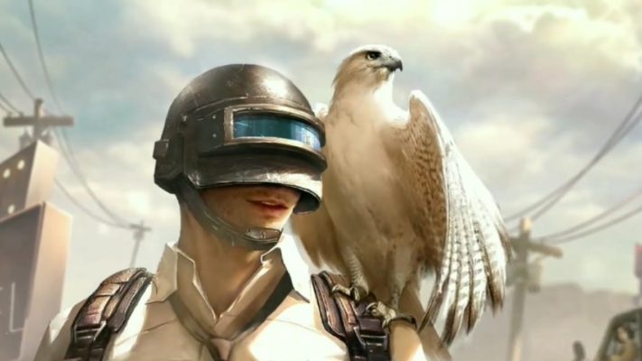 GET-FALCON-BIRD-711x400.jpg