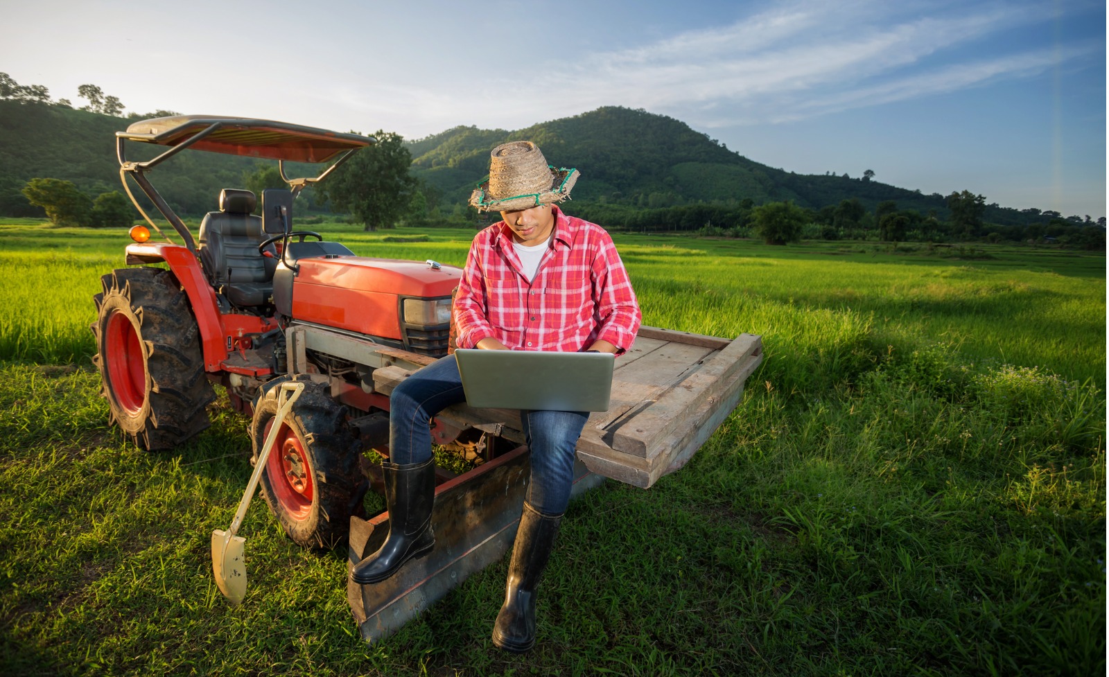 young-farmer-recorded-growth-of-productivity-sitting-picture-id592399484.jpg