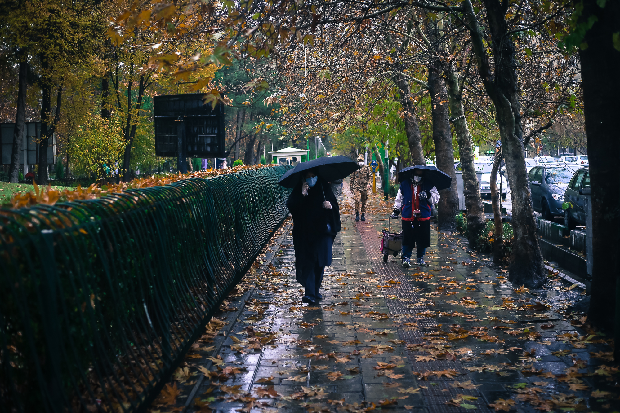 BS0K3924.JPG