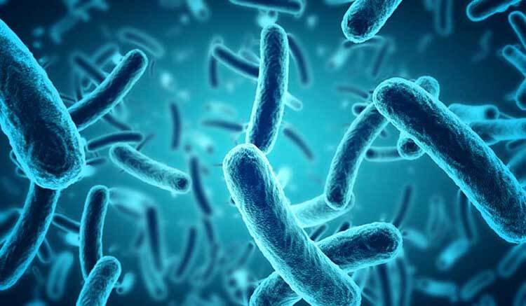 The-role-of-microorganisms-in-wastewater-treatment.jpg