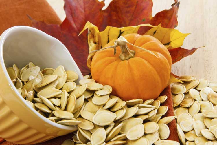 pumpkin-seeds.jpg