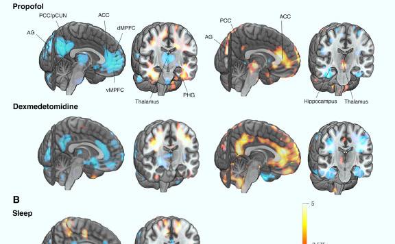 image_9204-Consciousness.jpg