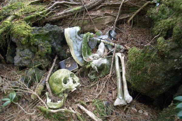 aokigahara_resize.jpg