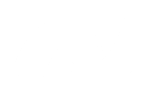 شبکه نمایش.png