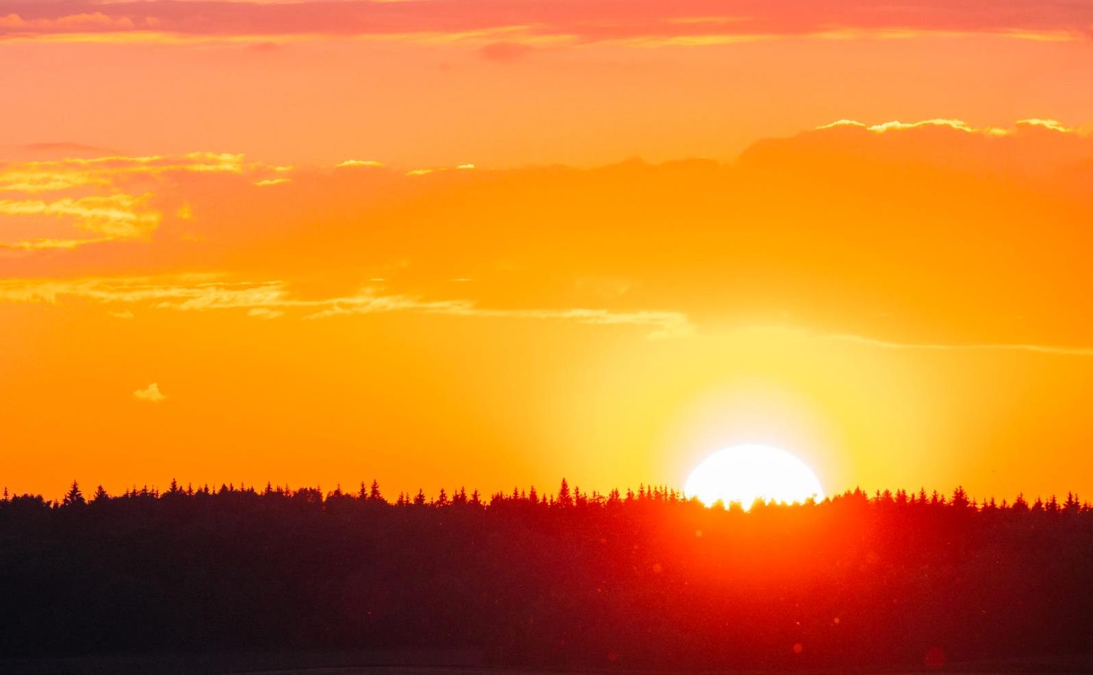 sun-over-forest-horizon-in-sunset-sunrise-time-PC89DLZ.jpg