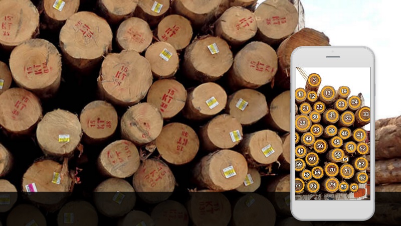 Counting-Logs-App-800.jpg
