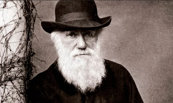 Screenshot_2021-02-13 Darwin-1 webp (WEBP Image, 570 × 340 pixels).png