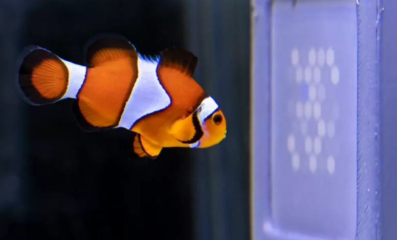 ssssss.PNG