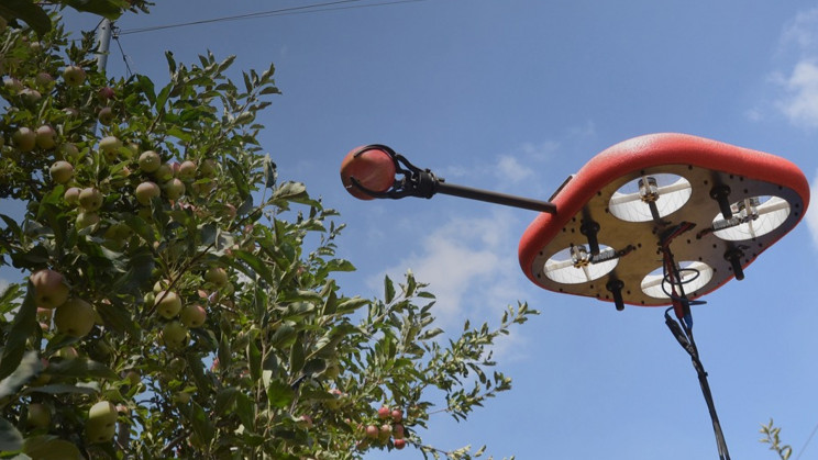 header-fruit-picker-1_resize_md.jpg