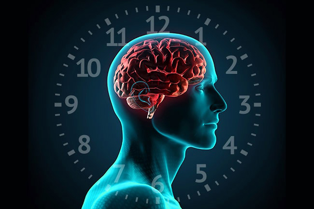 circadian-rhythm1-minB.jpg