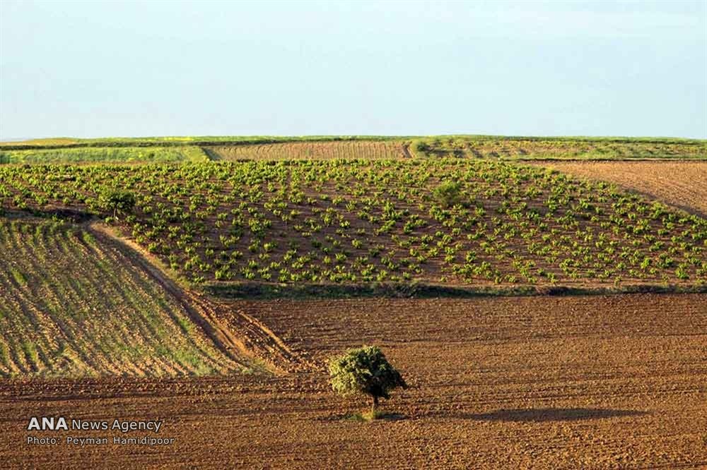 طبیعت بهاری بجنورد‎