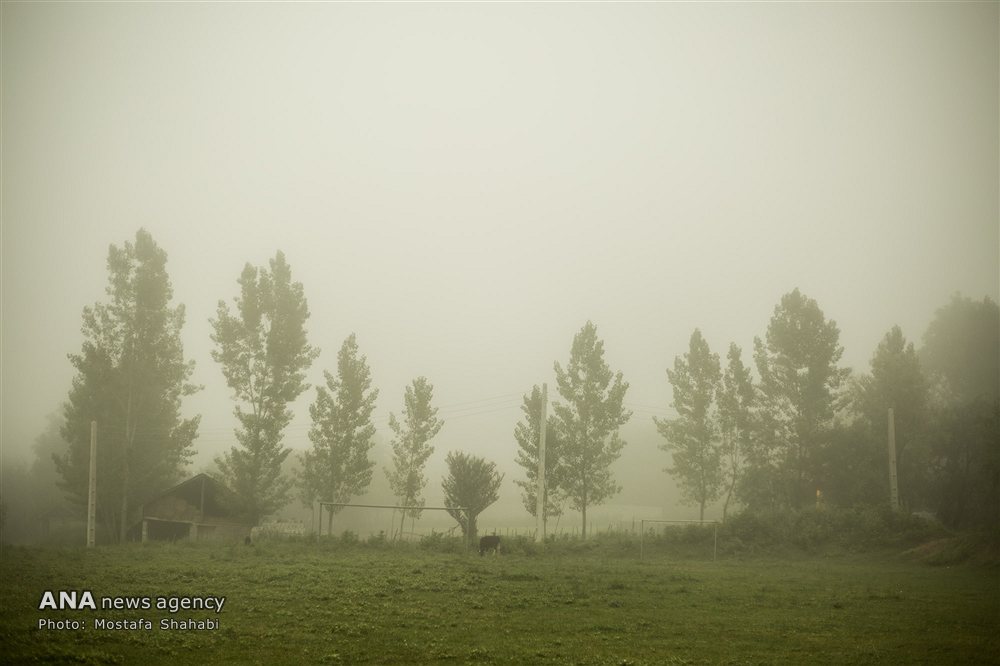 طبیعت بهاری مازندران‎