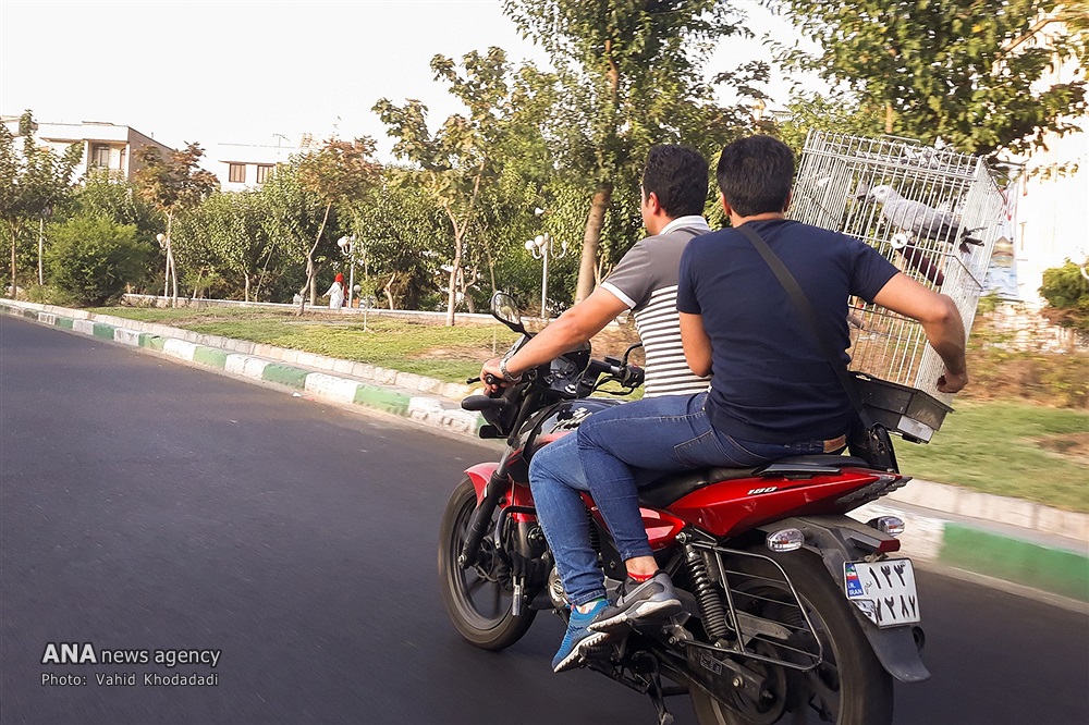 حوالی زندگی