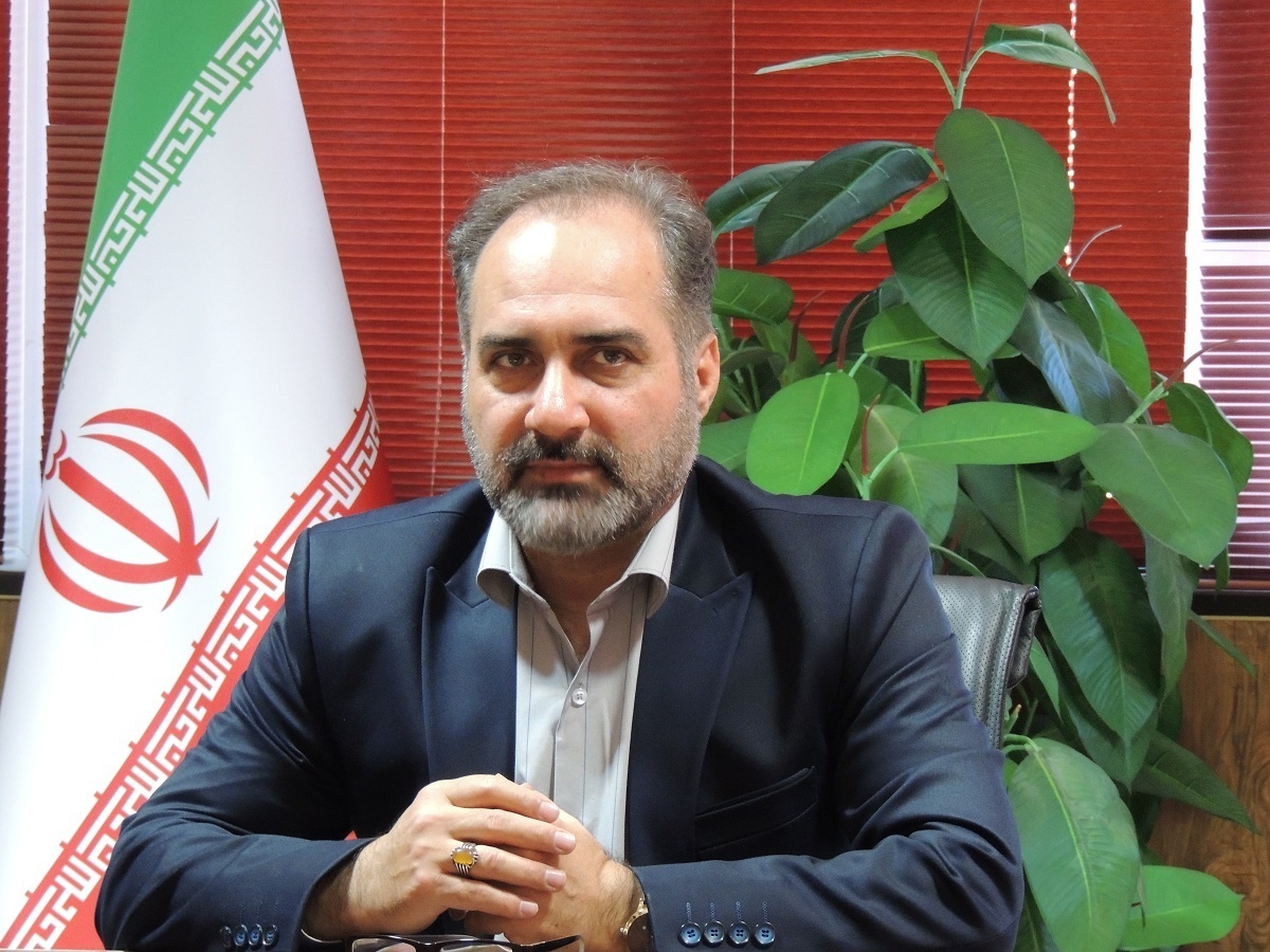 إزدهار إنتاج بذور الخيار الهجينة في ايران/ 10 ملايين بذرة سنويا