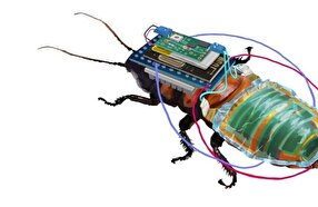 "الصرصور الإلكتروني".. روبوت صيني بقدرات استثنائية