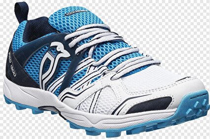  The Type of Shoe You Wear Matters!