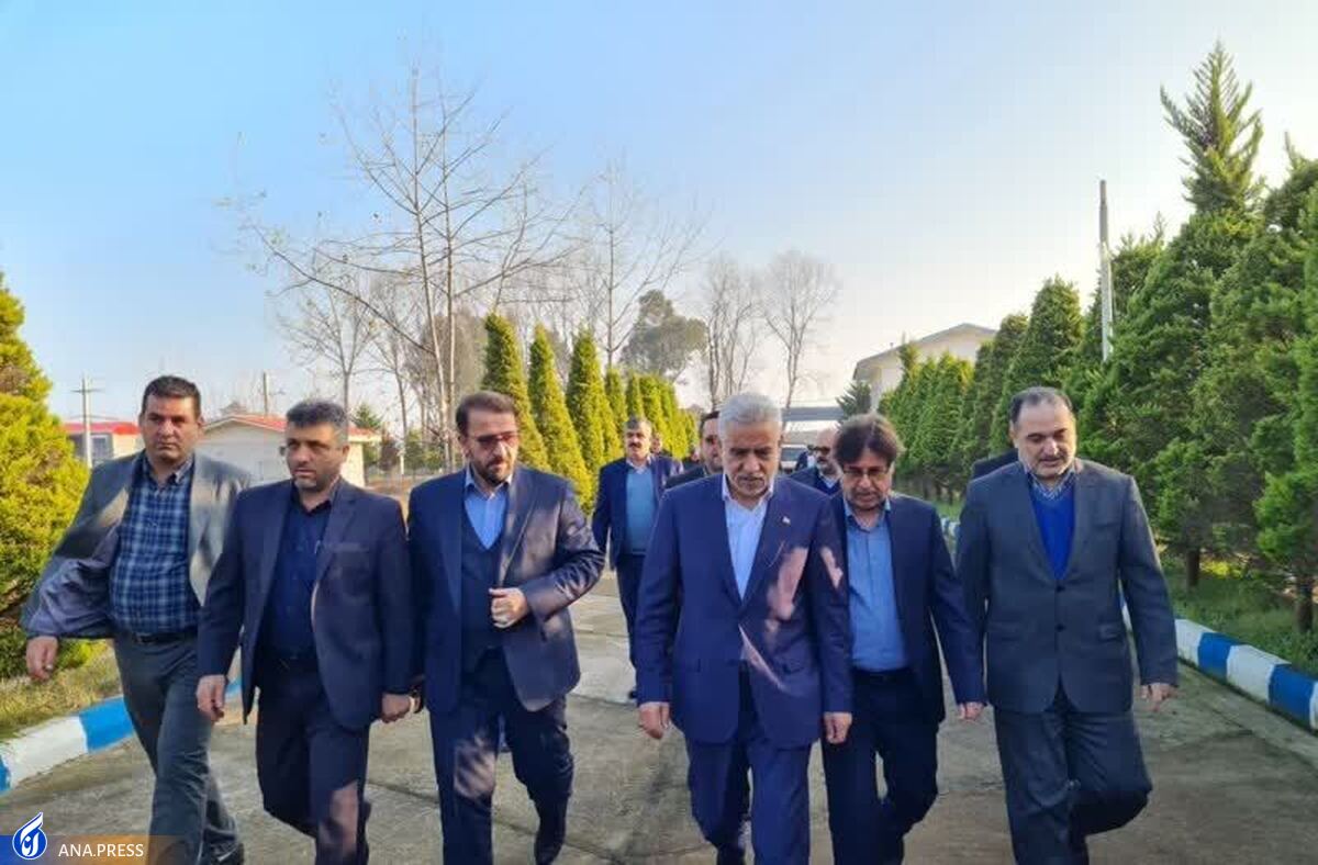 پژوهشهای دانشگاهی زیربنای فعالیتهای تولیدی و اقتصادی