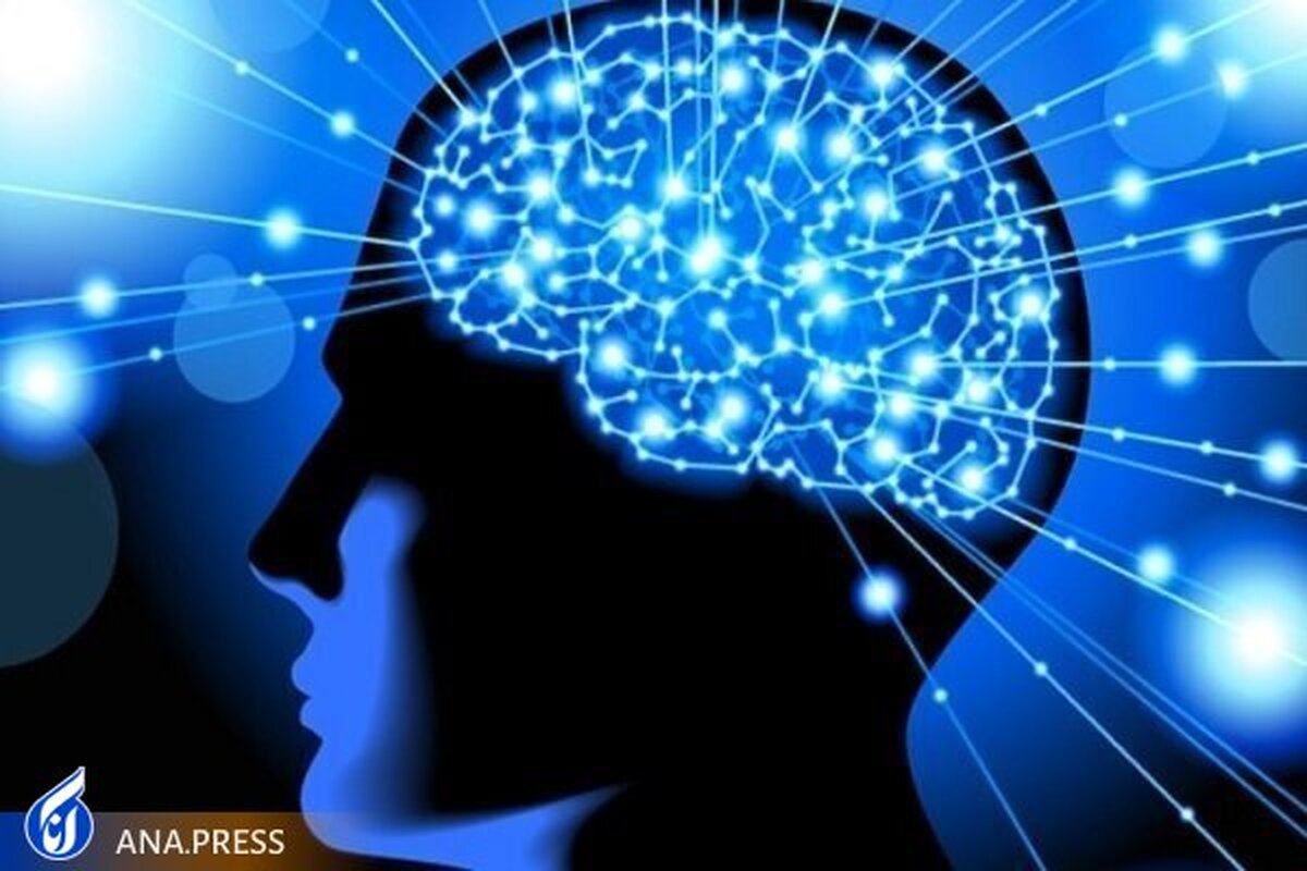 رونق کسبوکارهای دانشبنیانی در حوزه علوم شناختی