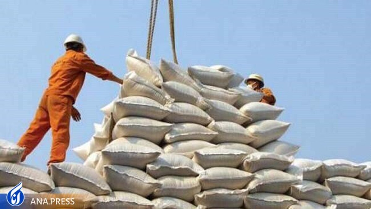 واردات برنج کاملا ممنوع شد