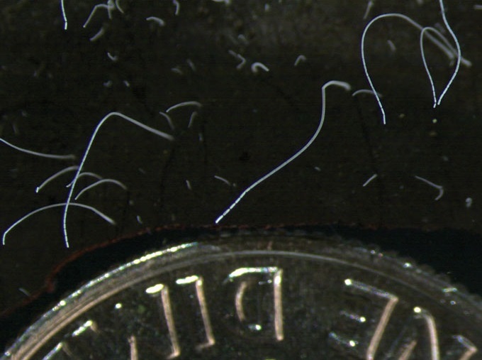 ۲۰۲۲؛ سال شکست رکورد قدیمیترین عمل جراحی و کشف نزدیکترین سیاهچاله ۲۰۲۲؛ سال شکست رکورد قدیمیترین عمل جراحی و کشف نزدیکترین سیاهچاله