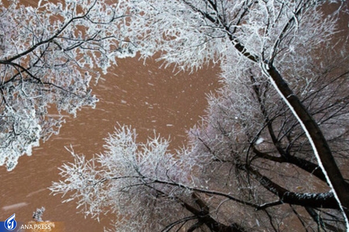 هشدار کاهش دمای شبانه در استان تهران