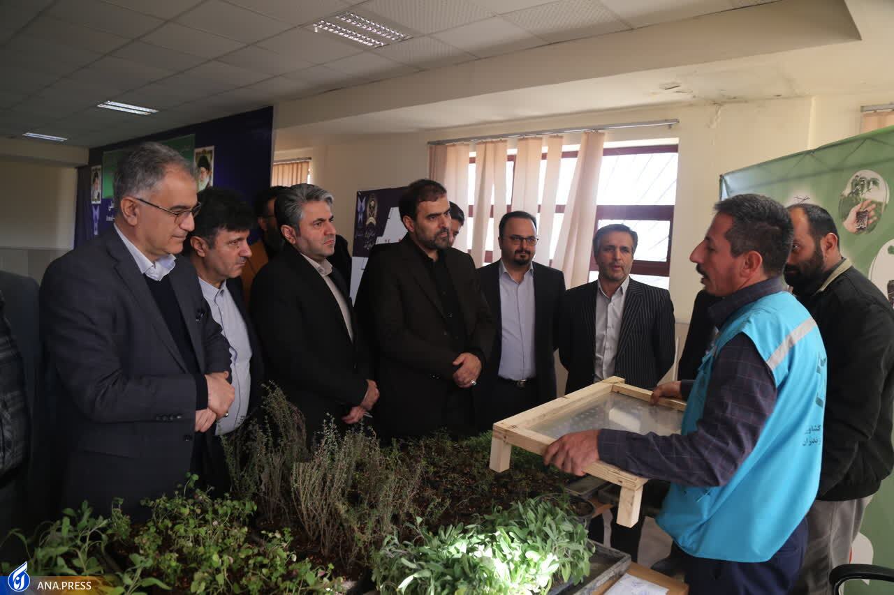 عدم صرفه اقتصادی و خام فروشی آفت تولید گیاهان دارویی است عدم صرفه اقتصادی و خام فروشی آفت تولید گیاهان دارویی است