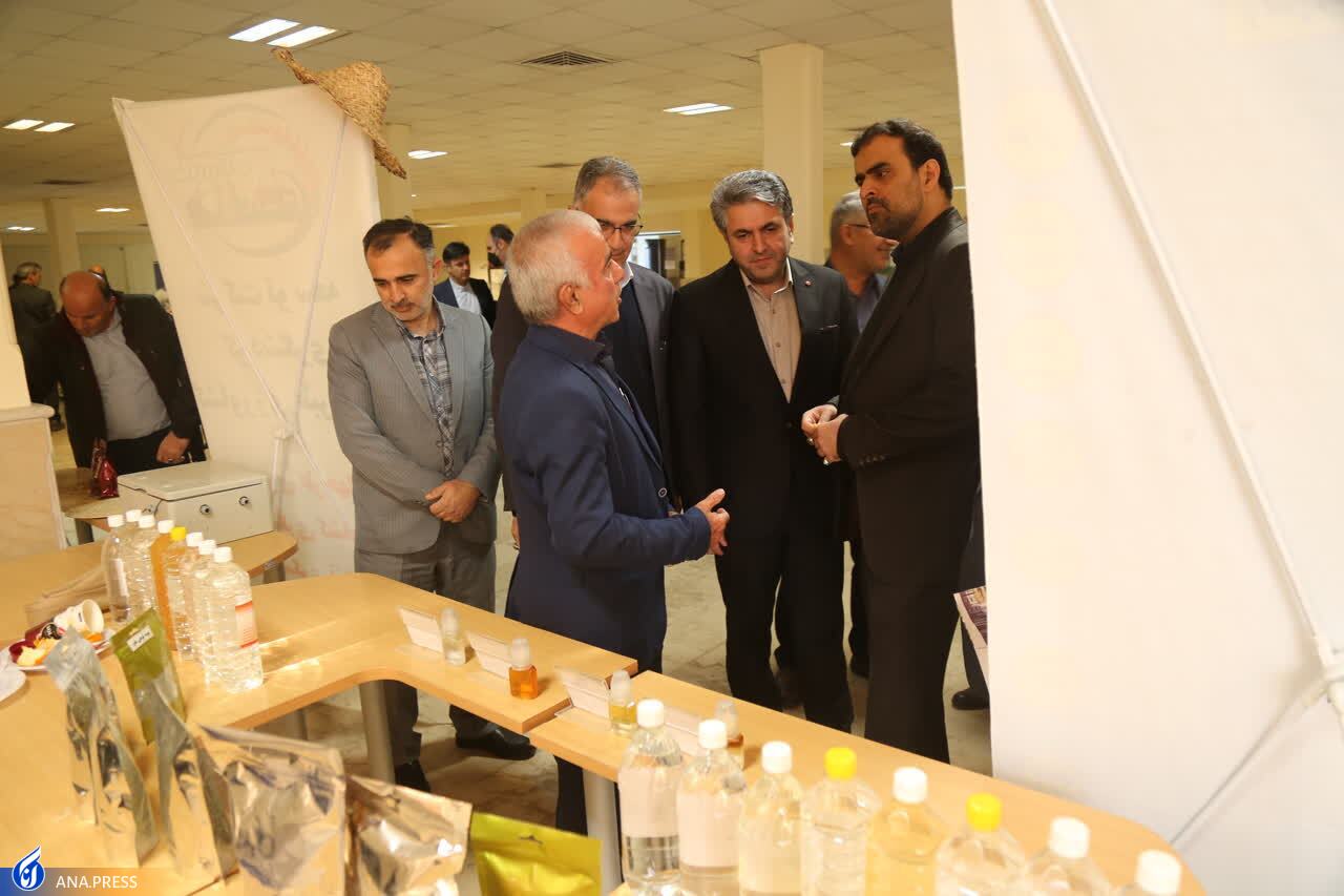 عدم صرفه اقتصادی و خام فروشی آفت تولید گیاهان دارویی است عدم صرفه اقتصادی و خام فروشی آفت تولید گیاهان دارویی است