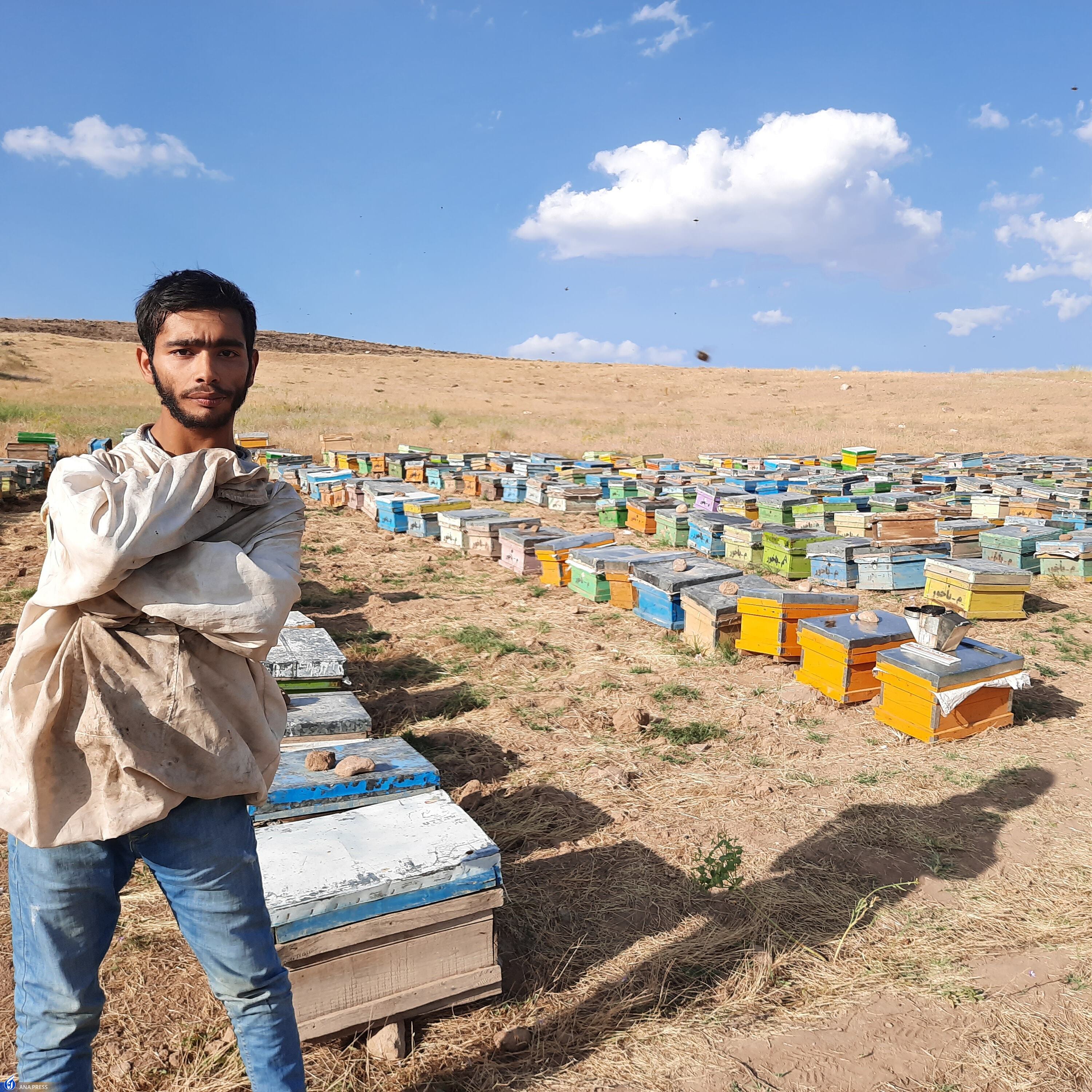 موفقیت از پشت کوه&zwnj;های محدودیت