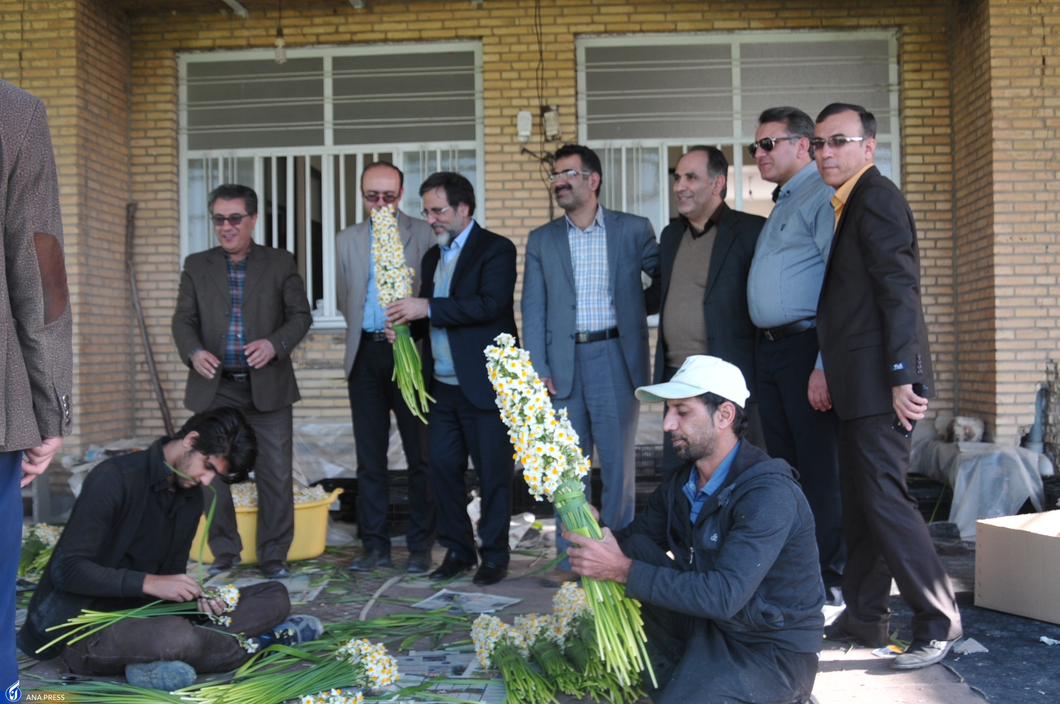 مزرعه تحقیقاتی پژوهشی 52 هکتاری نرگس بهبهان؛ ظرفیتی که مغفول مانده است