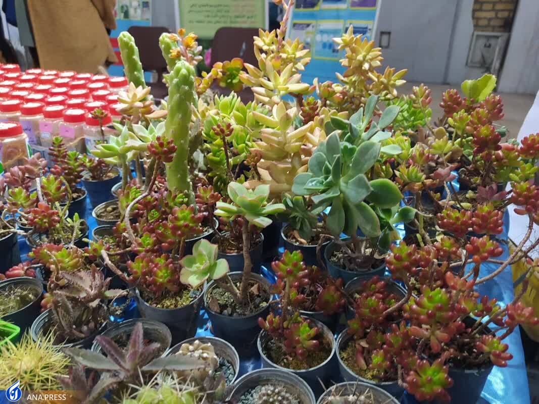 نمایش دستاوردهای تحقیقاتی و پژوهشی دانشگاه آزاد در کرمانشاه نمایش دستاوردهای تحقیقاتی و پژوهشی دانشگاه آزاد در کرمانشاه