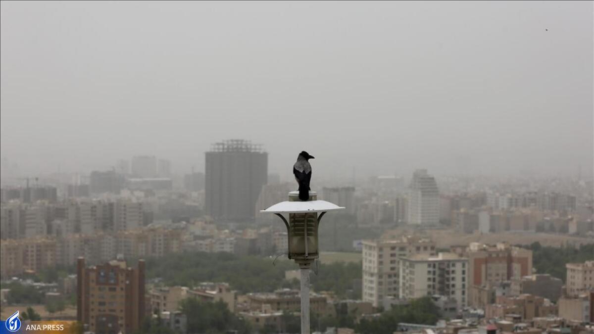 رمزگشایی از اوجگیری آلاینده دیاکسید گوگرد در اواخر آذر