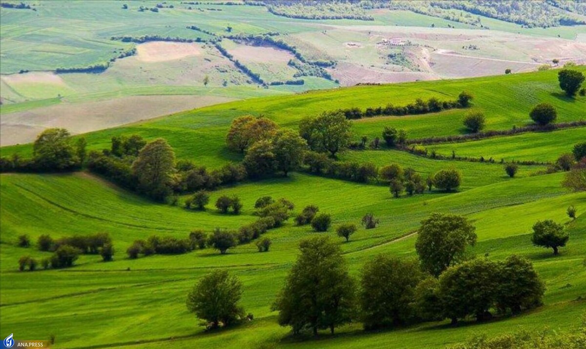 اجرای حکم قضایی هزار و ۱۷۵ تغییر کاربری اراضی کشاورزی کشور