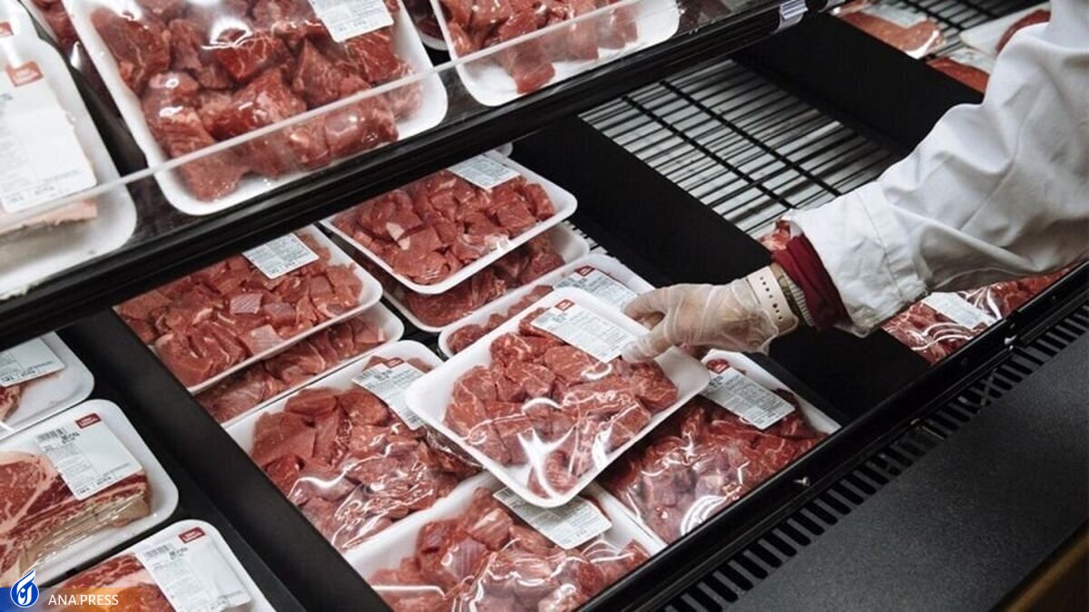 آغاز عرضه گوشتهای بستهبندی وارداتی در میادین ترهبار